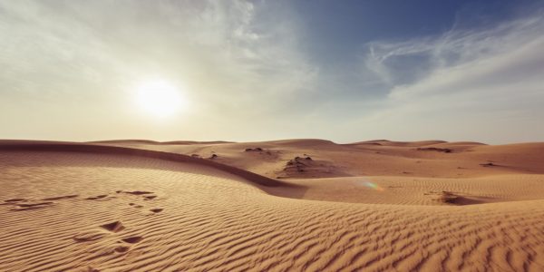 1st Sunday of Lent – What Treasures Can Be Found in the Desert?